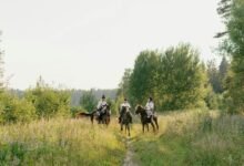 cambrruggables transforming digital experiences