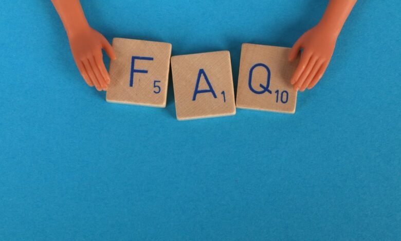 customer query details provided