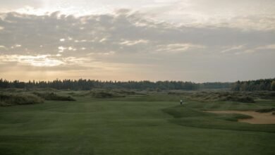 advanced web architecture expansion