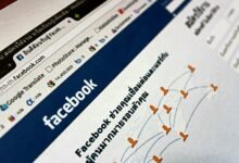 professional web platform efficiency